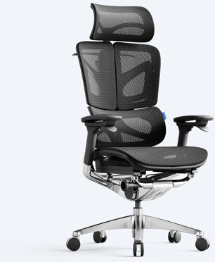 OdinLake Ergo Office Chair