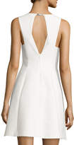Thumbnail for your product : Halston Sleeveless Fit-&-Flare Dress, Bone