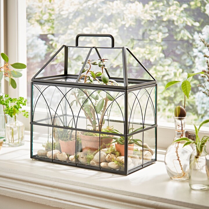 Natural History Museum Terrarium 37cm Black ShopStyle Decor