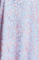 Thumbnail for your product : Cynthia Steffe Corded Lace Shift Dress