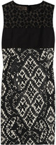 Thumbnail for your product : Giambattista Valli Paneled intarsia cotton-tweed shift dress