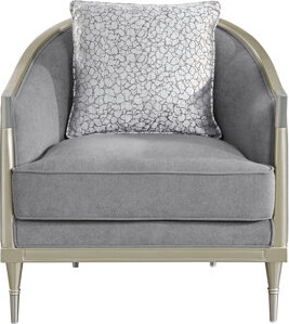 Mercer41 Fernando Gray Chenille & Champagne Chair w/Pillow