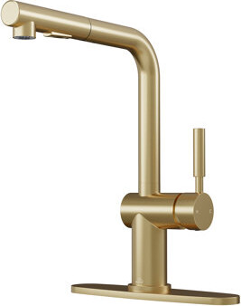 CASAINC Single-Handle Pull Out Kitchen Single Hole Faucet with Deck Plate