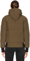 Thumbnail for your product : Canada Goose Savona Bomber With Coyote Fur in Military Green | FWRD