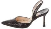 Thumbnail for your product : Manolo Blahnik Sequin Slingback Pumps Black Sequin Slingback Pumps