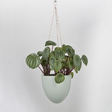 Thumbnail for your product : CB2 Page Hanging Planter
