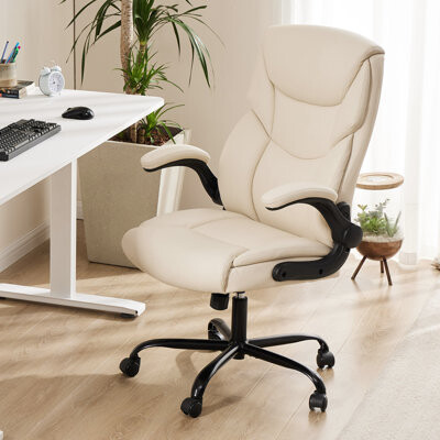 https://img.shopstyle-cdn.com/sim/2c/7b/2c7bb045b62e8377d22149d76f779161_best/iz-ergonomic-faux-leather-executive-chair.jpg