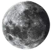 Thumbnail for your product : Abyss Moon Bath Rug - 100% Exclusive