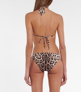 Dolce & Gabbana Leopard-print bikini bottoms