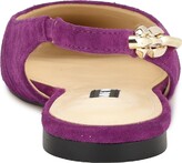 Thumbnail for your product : Nine West Babby Silngback Pointed Toe Flat