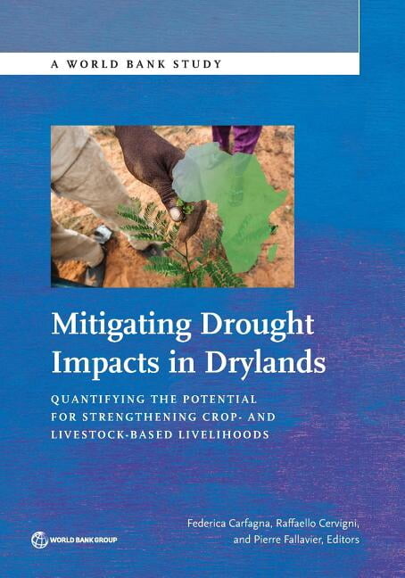 World Bank Studies: Mitigating Drought Impacts in Drylands : Quantifying the Potential for Strengthening Crop- and Livestock-Based Livelihoods (Paperback)