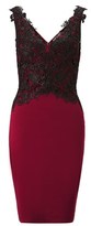 Thumbnail for your product : Lipsy Lace Applique Dress