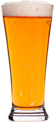 Hospitality Consumer Products Bold Drinkware Titan Polycarbonate Plastic Pilsner Glass