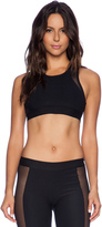 Thumbnail for your product : Blue Life Fit Silhouette Sports Bra