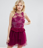 Thumbnail for your product : ASOS Petite PETITE 3D Floral Lace Embroidered Mini Prom Dress