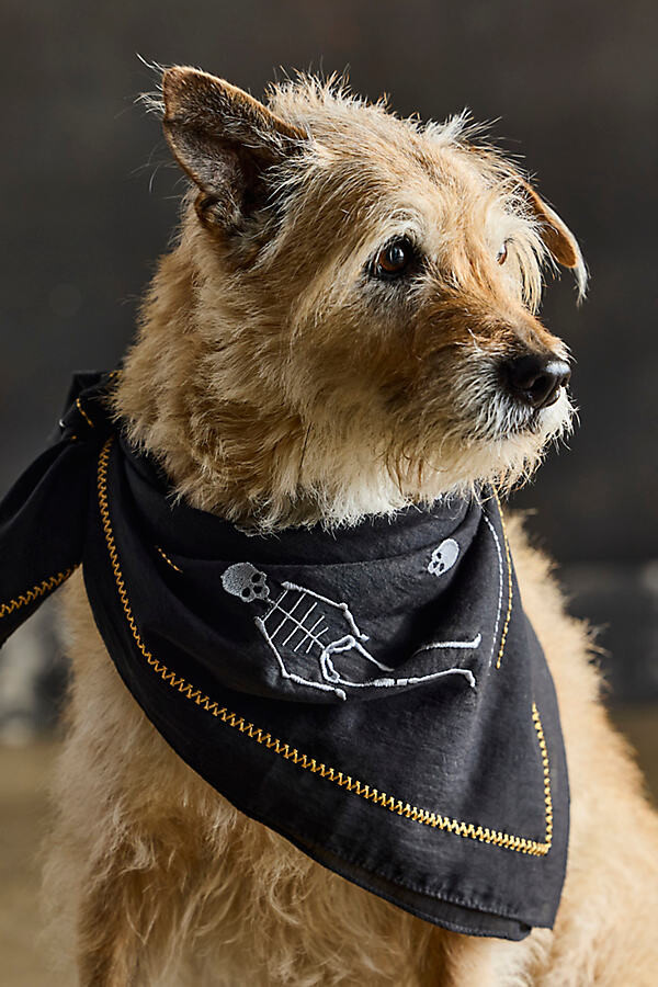 Embroidered Skeleton Bandana