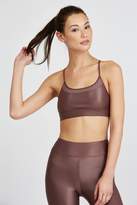 Thumbnail for your product : Koral PACIFICA SPORTS BRA