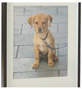 Thumbnail for your product : Crate & Barrel Benson 8x10 Picture Frame
