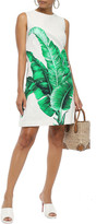 Thumbnail for your product : Dolce & Gabbana Printed Cotton And Silk-blend Jacquard Mini Dress