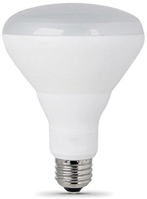 Feit 13W Day BR30 LED Bulb
