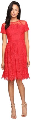 Maggy London Women's Bavarian Leaf Lace Fit and Flare