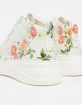 Thumbnail for your product : Fiorelli pippa high top sneaker in floral