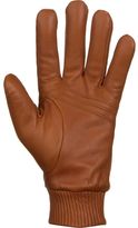 Thumbnail for your product : Hilts-Willard Hilts Willard Harry Glove