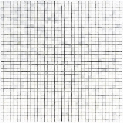 Tile & Mosaic Depot Marble Grid Mosaic Wall & Floor Tile