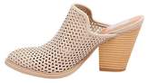 Thumbnail for your product : dv Women's Kenli Laser Cut Mule Booties
