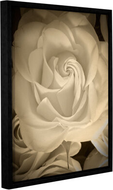 Remembrance Framed Photographic Print