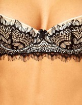 Thumbnail for your product : Mimi Holliday Pearl Silk Satin Lace Padded Super Plunge Bra