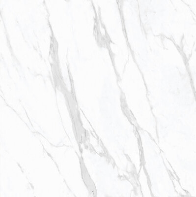 MALAKAN INC 48" x 48" Porcelain Marble Look Wall & Floor Glossy Tile Carrara Statuario