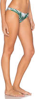Thumbnail for your product : Mikoh Lahaina Minimal Bikini Bottom