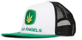 Thumbnail for your product : Palm Angels logo cap