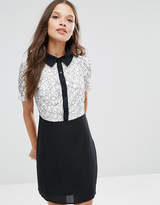 Thumbnail for your product : Fashion Union Petite 2 In 1 Lace Contrast Mini A Line Dress