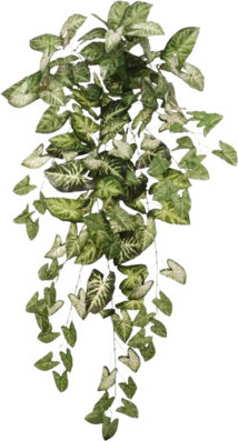 Larksilk 12pcs Hanging Nephtytis Bush 36" - 2025 Spring Collection