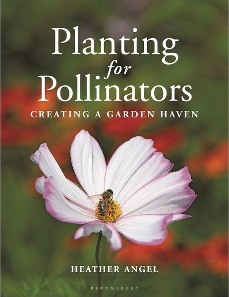 Bloomsbury Wildlife PlantingforPollinators-byHeatherAngel(Paperback)