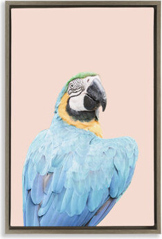 Bay Isle Home Blue Ara Macaw Framed Floater Canvas by Sisi and Seb