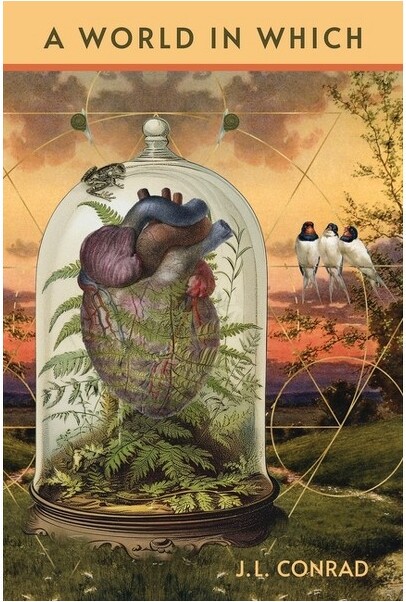 Terrapin Books AWorldinWhich-byJLConrad(Paperback)