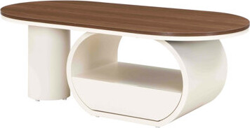 Orren Ellis Luxury Oval Coffee Table,Coffee Table With Storage Drawer Metal Center Table For Living Room