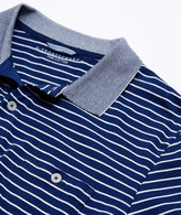 Thumbnail for your product : Sportscraft Willis Polo