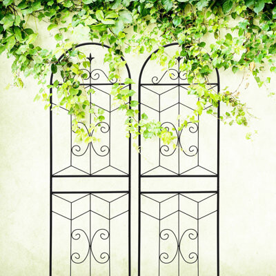 Charlton Home Mercury Metal Garden Trellis 4 Piece Rust- For Cucumber Climbers Outdoor Flower Blooming Black Quick To Build Constitution 4 Rust- Morning Glory