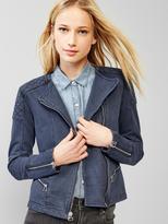 Thumbnail for your product : Gap Quilted moto knit jacket