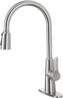 Topcraft Pull Down Single Handle Kitchen Faucet