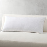 Thumbnail for your product : CB2 Feather-Down Rectangular Pillow Inserts
