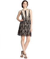 Thumbnail for your product : Wyatt black stretch lace and nude silk skirt dress