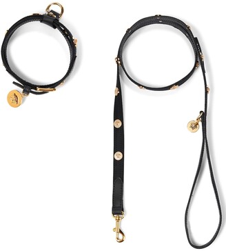 Versace Medusa dog collar and leash set - ShopStyle