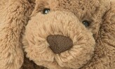 Thumbnail for your product : Jellycat 'Bashful' Puppy Stuffed Animal