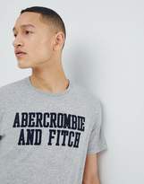 Thumbnail for your product : Abercrombie & Fitch Legacy Applique Script Logo T-Shirt in Gray