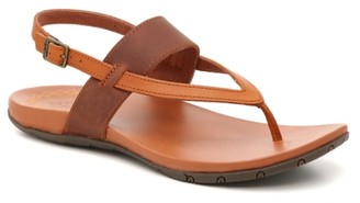 chacos maya